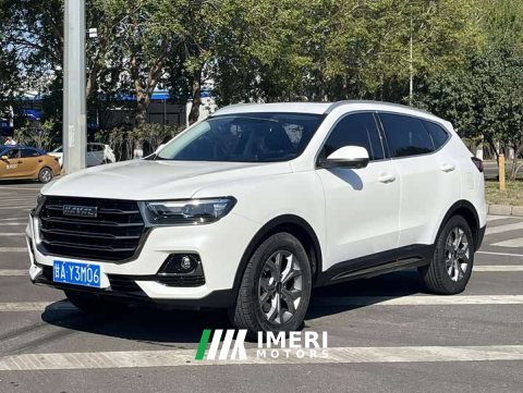 2022 Haval H6 2021 National Trend 1.5T Automatic Champion Edition - ავტომობილი ჩინეთიდან