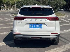 Haval H6 2021 National Trend 1.5T Automatic Champion Edition - ფოტო 16