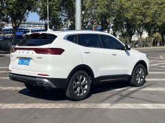 Haval H6 2021 National Trend 1.5T Automatic Champion Edition - ფოტო 18