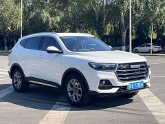 Haval H6 2021 National Trend 1.5T Automatic Champion Edition - ფოტო 2