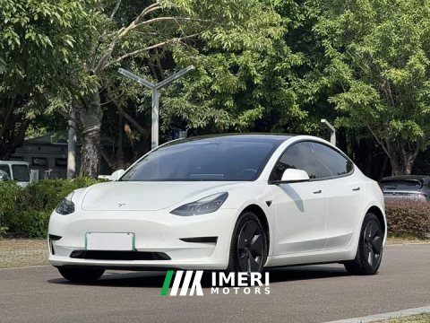 2022 Tesla Model 3 Rear-Wheel Drive - ავტომობილი ჩინეთიდან