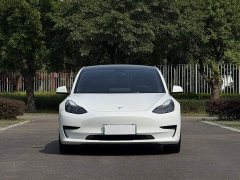 Tesla Model 3 Rear-Wheel Drive - ფოტო 2