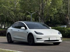Tesla Model 3 Rear-Wheel Drive - ფოტო 3