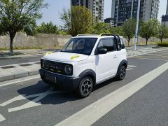 Geely Panda 210km Panda Knight - ფოტო 1