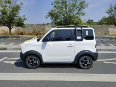 Geely Panda 210km Panda Knight - ფოტო 7