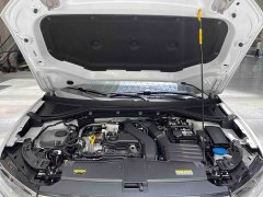 Volkswagen T-ROC Tanyue 300TSI DSG FWD Chenguang Edition - photo 14