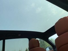 Li Auto L6 Max - ფოტო 8