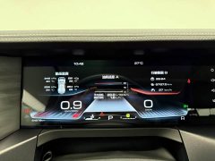 Tank 300 2021 Off-Road Edition 2.0T Conqueror - ფოტო 12