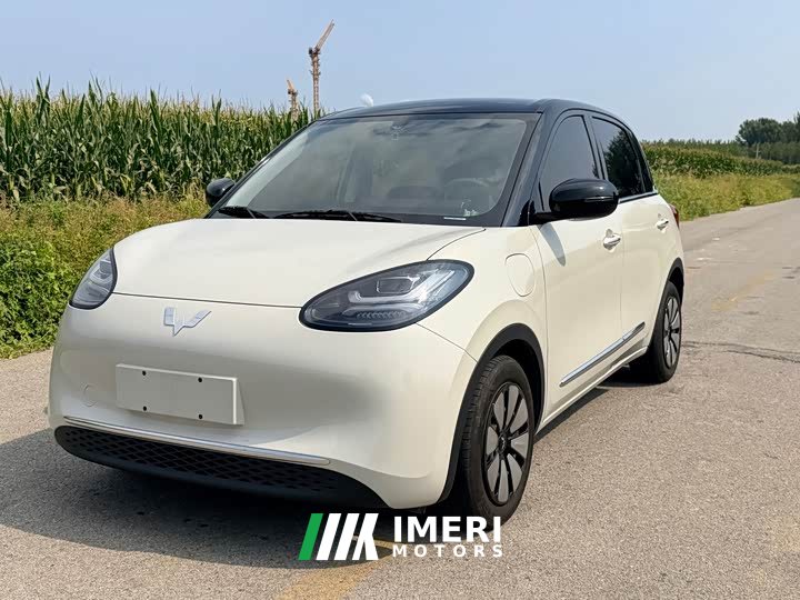Wuling Binguo 2023 333km Joy Edition - ავტომობილი ჩინეთიდან