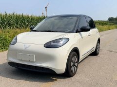 Wuling Binguo 2023 333km Joy Edition - ფოტო 1