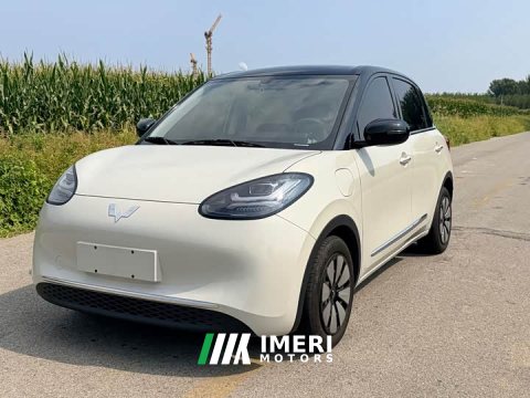 2024 Wuling Binguo 2023 333km Joy Edition - ავტომობილი ჩინეთიდან