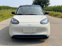 Wuling Binguo 2023 333km Joy Edition - ფოტო 2