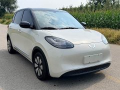 Wuling Binguo 2023 333km Joy Edition - ფოტო 3