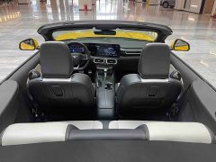 Ford Mustang 2.3T EcoBoost Convertible Sport - ფოტო 13