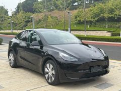 Tesla Model Y Rear-Wheel Drive - ფოტო 3