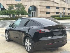 Tesla Model Y Rear-Wheel Drive - ფოტო 7
