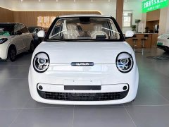 Changan Lumin Treasure Edition 205km Cool Love White CATL - ფოტო 1
