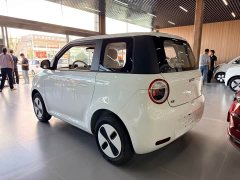 Changan Lumin Treasure Edition 205km Cool Love White CATL - ფოტო 4