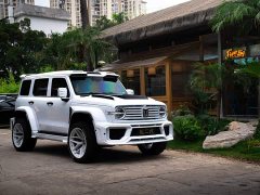 Tank 300 New Energy Hi4-T 37.1kWh - ფოტო 8