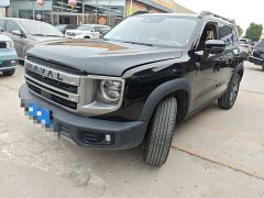 Great Wall Dachshund 2024 1.5T DCT Border Collie Edition - ფოტო 1