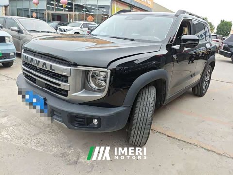 2023 Great Wall Dachshund 2024 1.5T DCT Border Collie Edition - ავტომობილი ჩინეთიდან