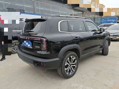 Great Wall Dachshund 2024 1.5T DCT Border Collie Edition - ფოტო 5