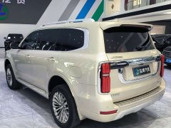 Tank 500 2023 3.0T Business Edition Landscape Version 5-Seater - ფოტო 17