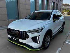 Haval Chitu Jingxiang Edition 1.5T Purple Copper Rabbit - ფოტო 1