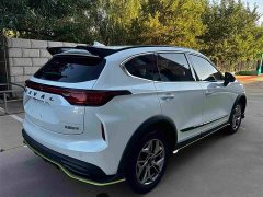 Haval Chitu Jingxiang Edition 1.5T Purple Copper Rabbit - ფოტო 13