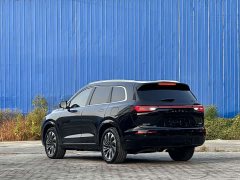 AITO Wenjie M7 1.5T AWD Luxury - ფოტო 6