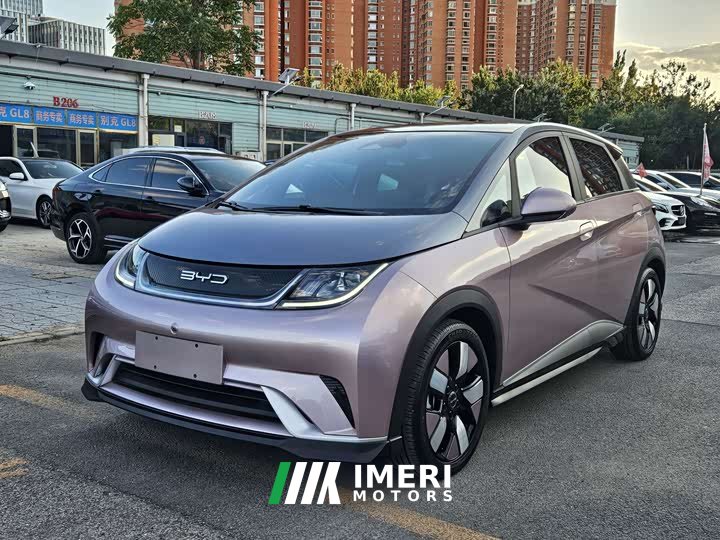 BYD Dolphin 401km Knight Edition - ავტომობილი ჩინეთიდან