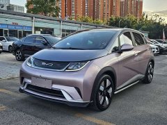 BYD Dolphin 401km Knight Edition - ფოტო 1