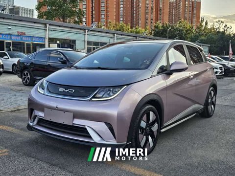 2022 BYD Dolphin 401km Knight Edition - автомобиль из Китая