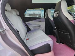 BYD Dolphin 401km Knight Edition - ფოტო 11