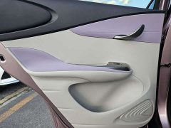 BYD Dolphin 401km Knight Edition - ფოტო 15