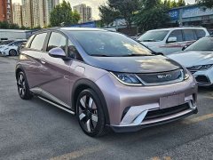 BYD Dolphin 401km Knight Edition - ფოტო 2