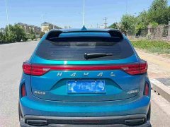 Haval Chitu Jingxiang Edition 1.5T Purple Copper Rabbit - ფოტო 10