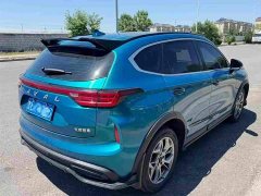 Haval Chitu Jingxiang Edition 1.5T Purple Copper Rabbit - ფოტო 11