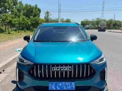 Haval Chitu Jingxiang Edition 1.5T Purple Copper Rabbit - ფოტო 2