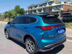 Haval Chitu Jingxiang Edition 1.5T Purple Copper Rabbit - ფოტო 9