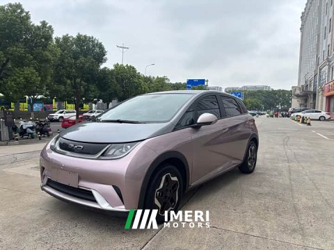 2022 BYD Dolphin 405km Fashion Edition - автомобиль из Китая
