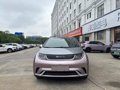 BYD Dolphin 405km Fashion Edition - ფოტო 2