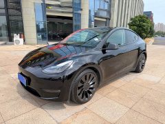 Tesla Model Y 2022 Performance All-Wheel Drive - ფოტო 1