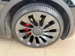 Tesla Model Y 2022 Performance All-Wheel Drive - ფოტო 16