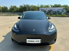Tesla Model Y Rear-Wheel Drive - ფოტო 2