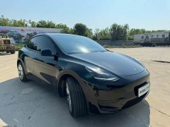 Tesla Model Y Rear-Wheel Drive - ფოტო 3