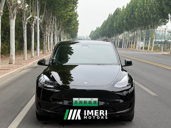Tesla Model Y Rear-Wheel Drive