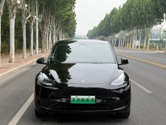 Tesla Model Y Rear-Wheel Drive - ფოტო 1
