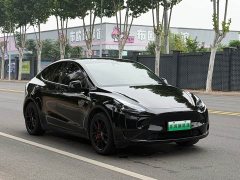 Tesla Model Y Rear-Wheel Drive - ფოტო 2