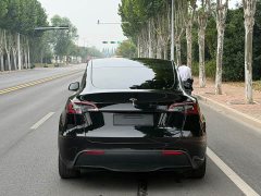 Tesla Model Y Rear-Wheel Drive - ფოტო 4